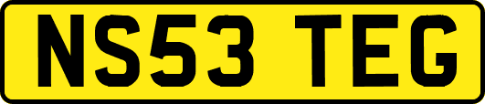 NS53TEG