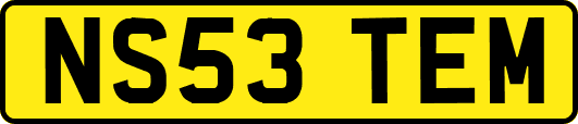 NS53TEM