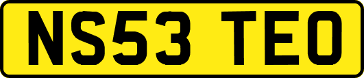 NS53TEO