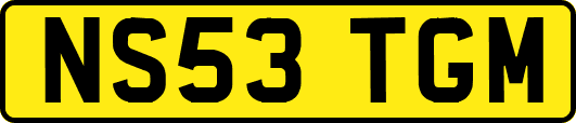 NS53TGM