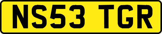 NS53TGR