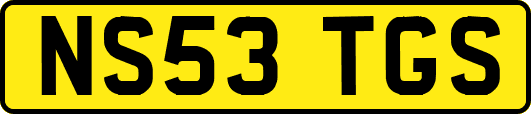NS53TGS