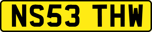 NS53THW