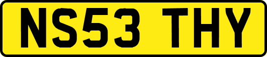 NS53THY