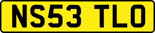 NS53TLO