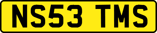 NS53TMS
