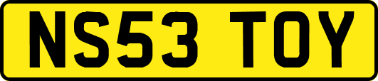 NS53TOY