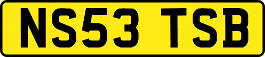 NS53TSB