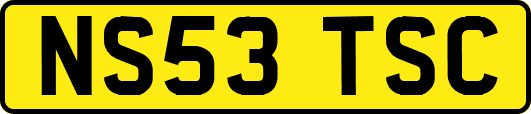 NS53TSC