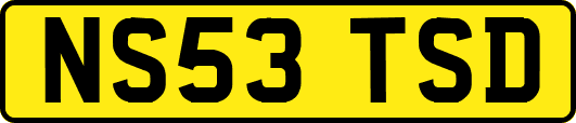 NS53TSD
