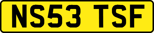 NS53TSF