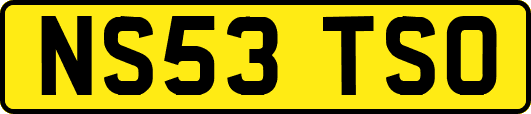 NS53TSO