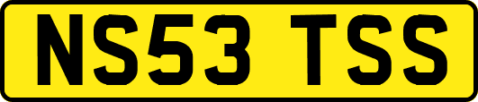 NS53TSS