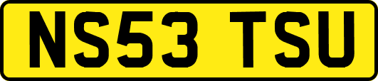 NS53TSU