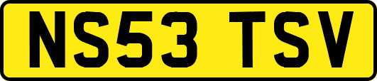 NS53TSV