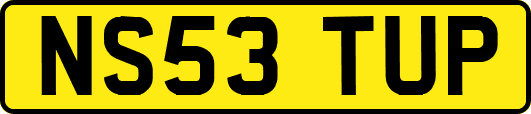 NS53TUP