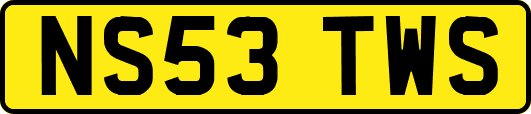 NS53TWS