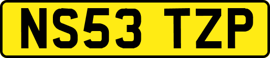NS53TZP
