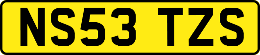 NS53TZS