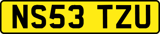 NS53TZU