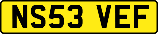 NS53VEF