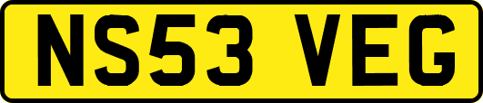 NS53VEG