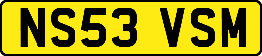 NS53VSM