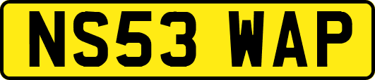 NS53WAP