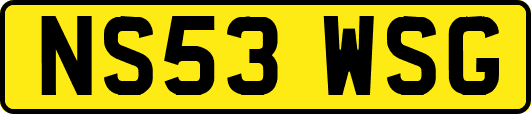 NS53WSG