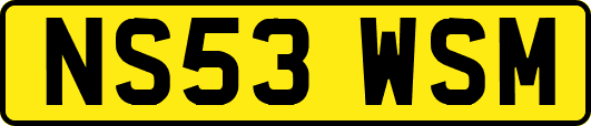 NS53WSM