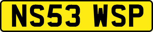 NS53WSP
