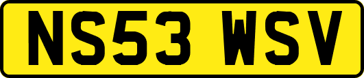 NS53WSV