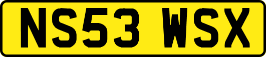 NS53WSX
