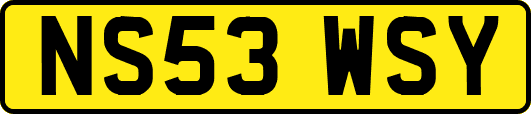NS53WSY