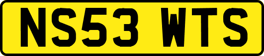 NS53WTS