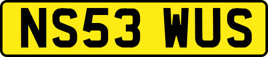 NS53WUS