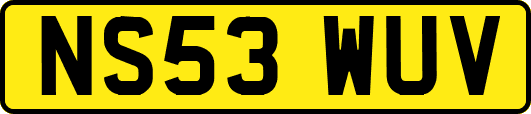 NS53WUV