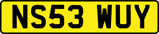 NS53WUY