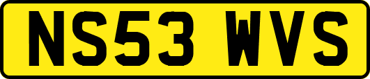 NS53WVS