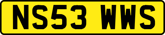 NS53WWS
