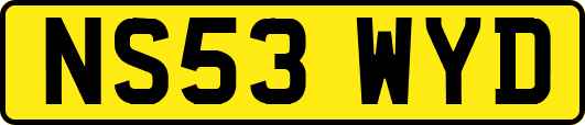 NS53WYD