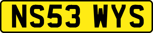 NS53WYS