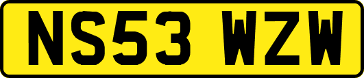 NS53WZW
