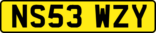 NS53WZY