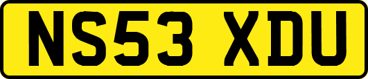 NS53XDU