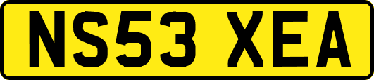 NS53XEA