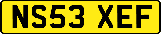 NS53XEF