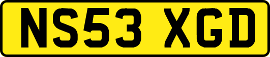 NS53XGD
