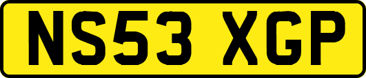 NS53XGP