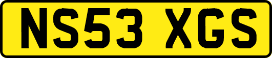 NS53XGS